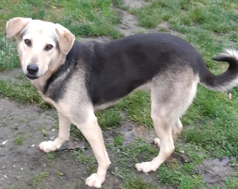 Gianna - NOTFALL Österreich