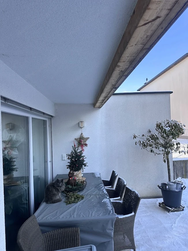 Modernes EFH in Lustenau (2017)   Gas, Solar; Riednähe   Traum-Aussicht!