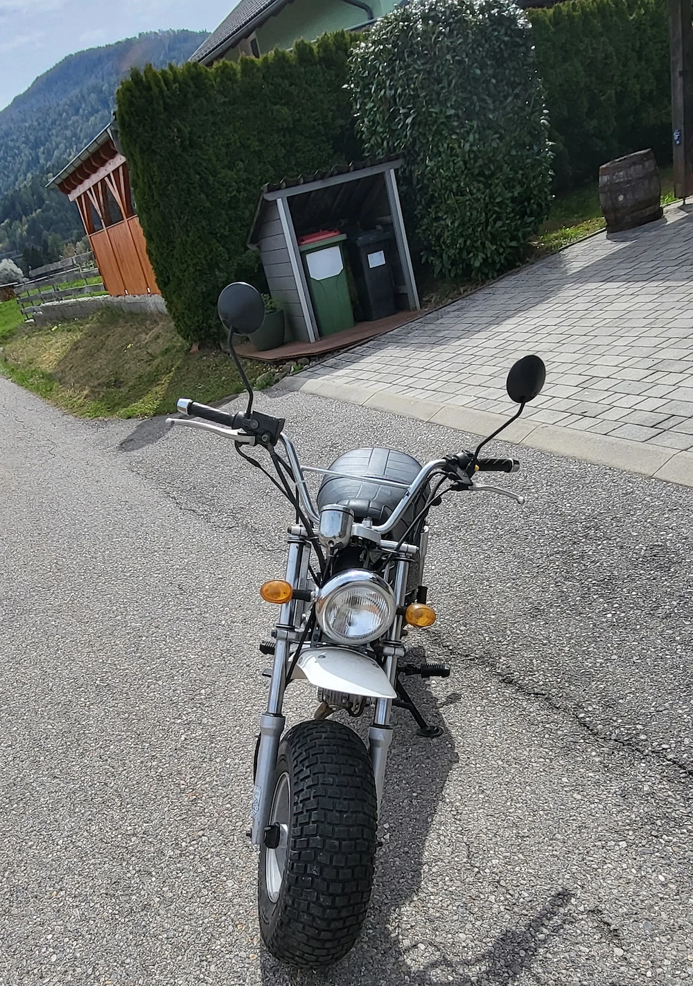 SkyTeam T Rex 125ccm   gepflegt, selten, ideal für Bastler   BJ 2013