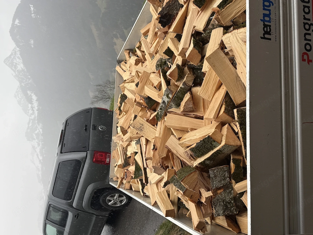 Buchenholz Frisch 30 cm