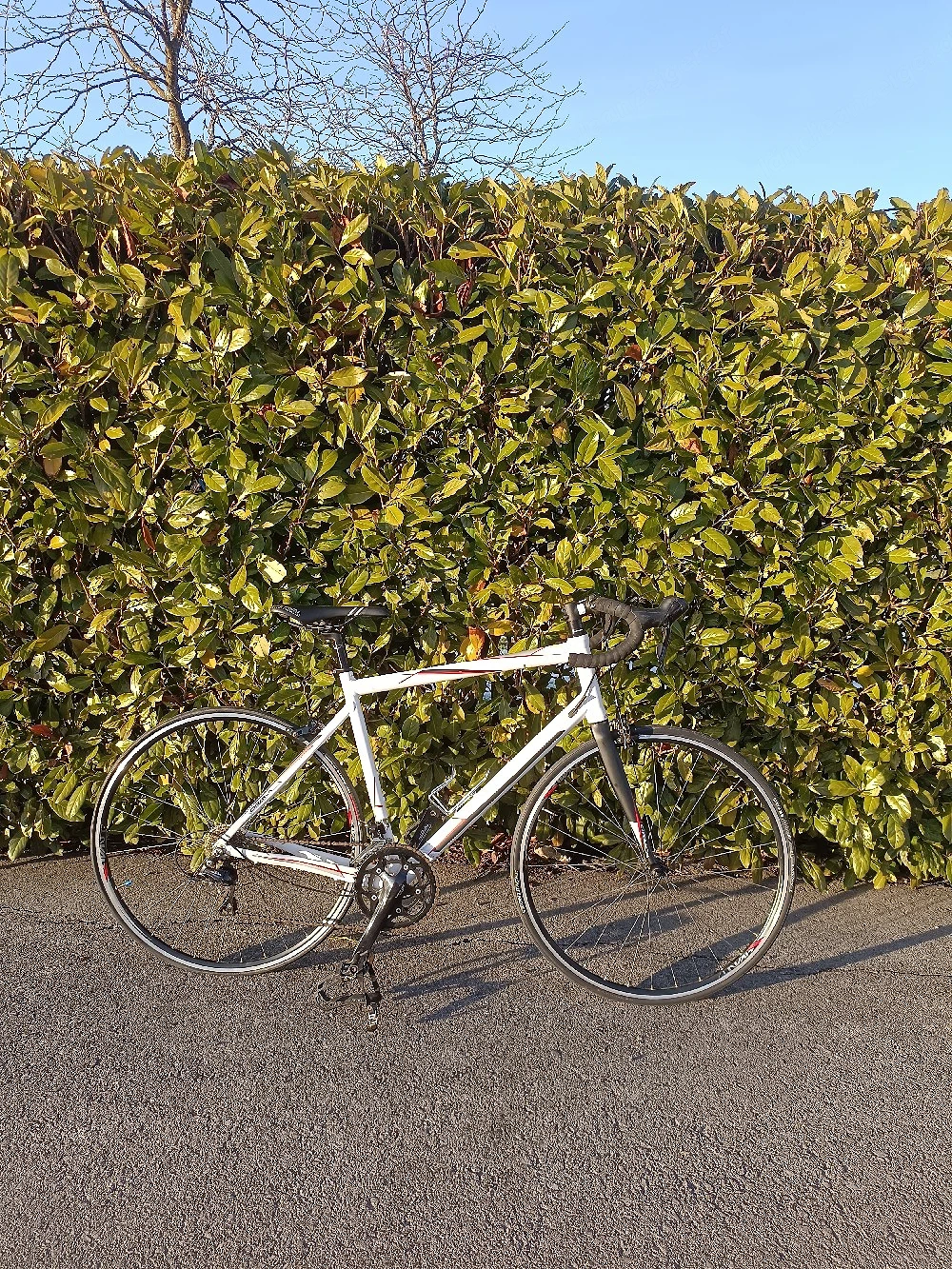 suche Rennräder oder andere Fahrräder 