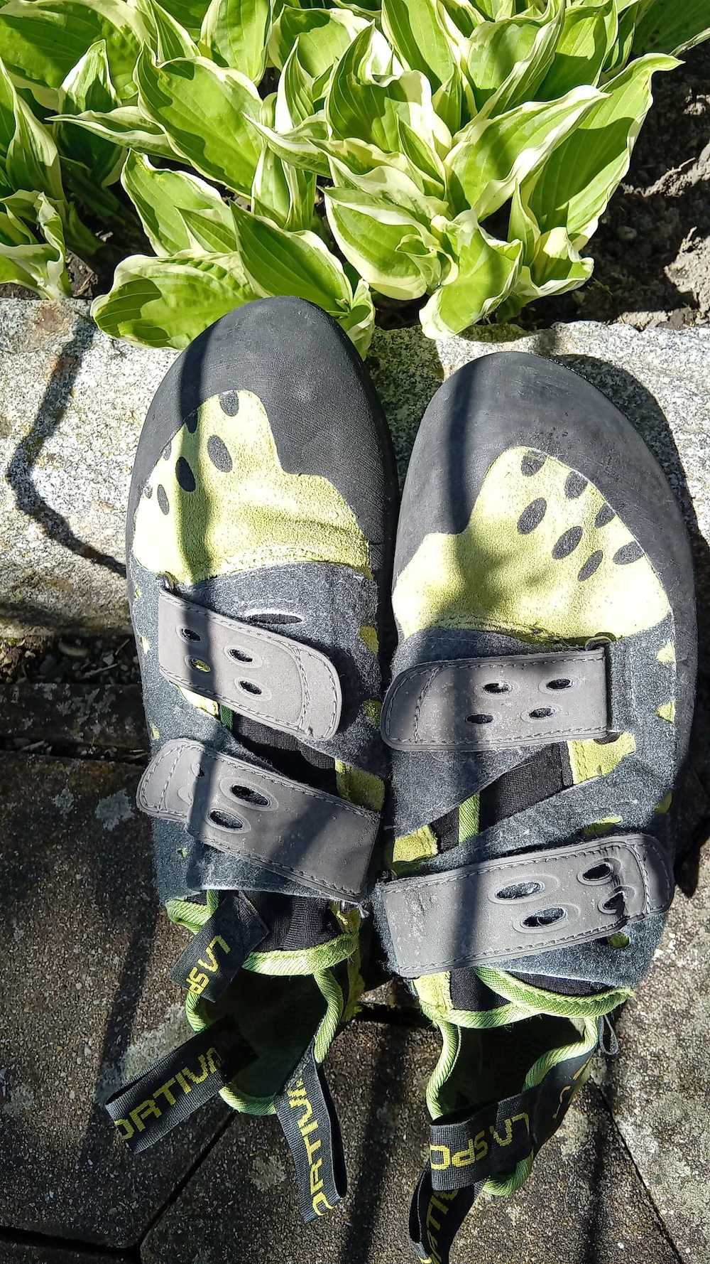 La Sportiva Tarantula Kletterschuhe (Grösse 44.5, USA 11, UK 10)