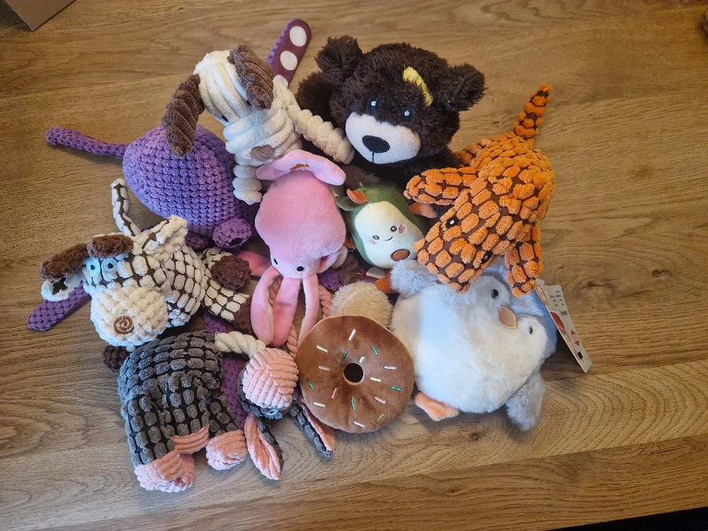 Erstattung für kleine Hunde 40 teilig