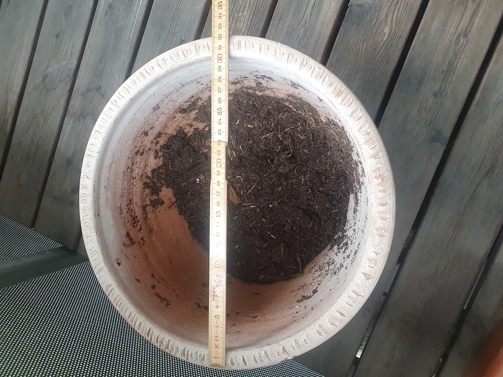 Pflanzentopf  zu verkaufen  um 10 Euro 