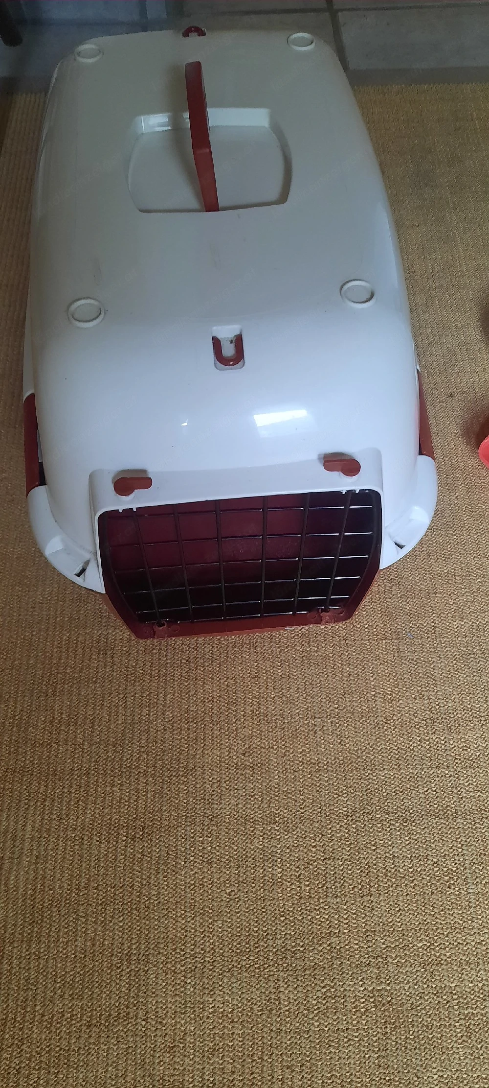 Kleintier Transportbox