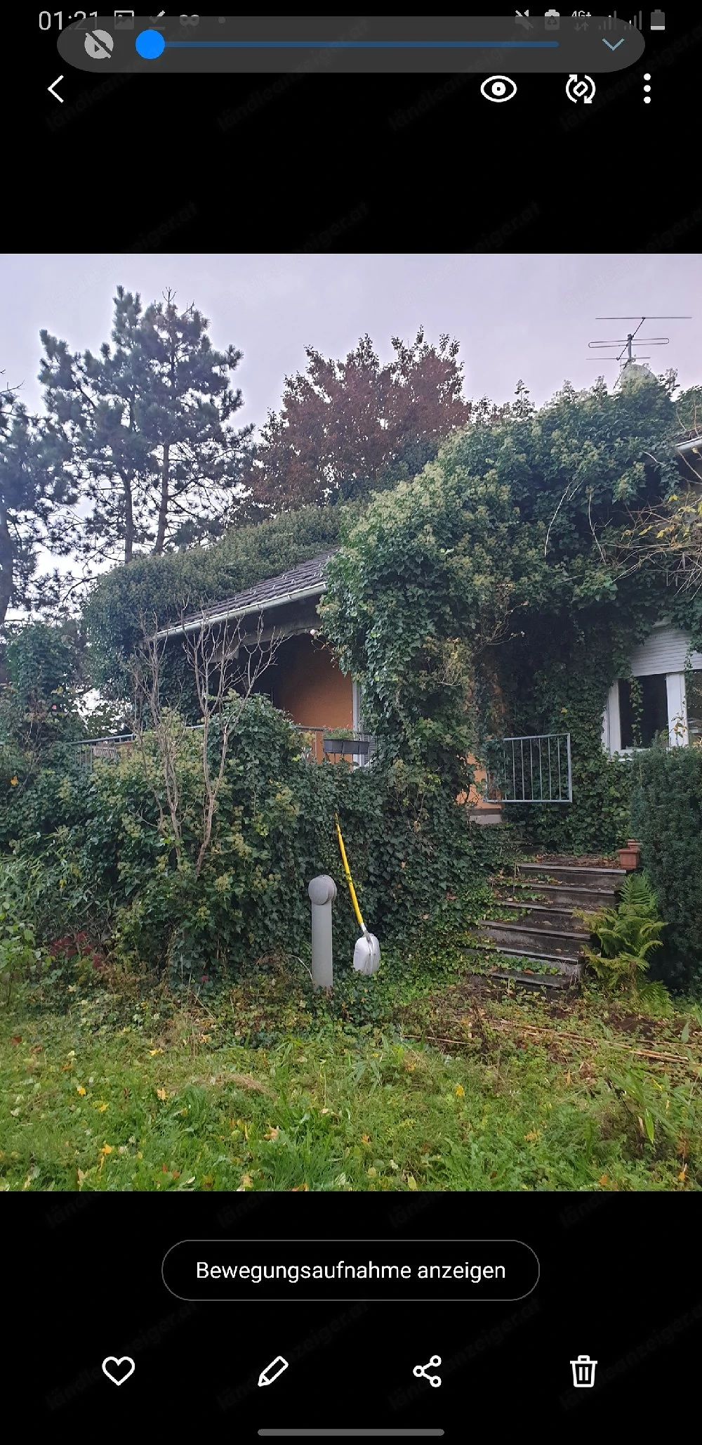 Gartenarbeit, Gärtner 