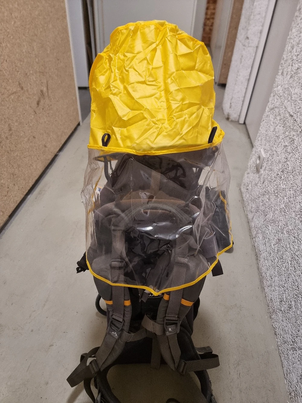Kindertragerucksack, Kraxe