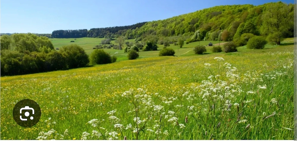 Suche Landwirtschaftliche Pacht Fläche 