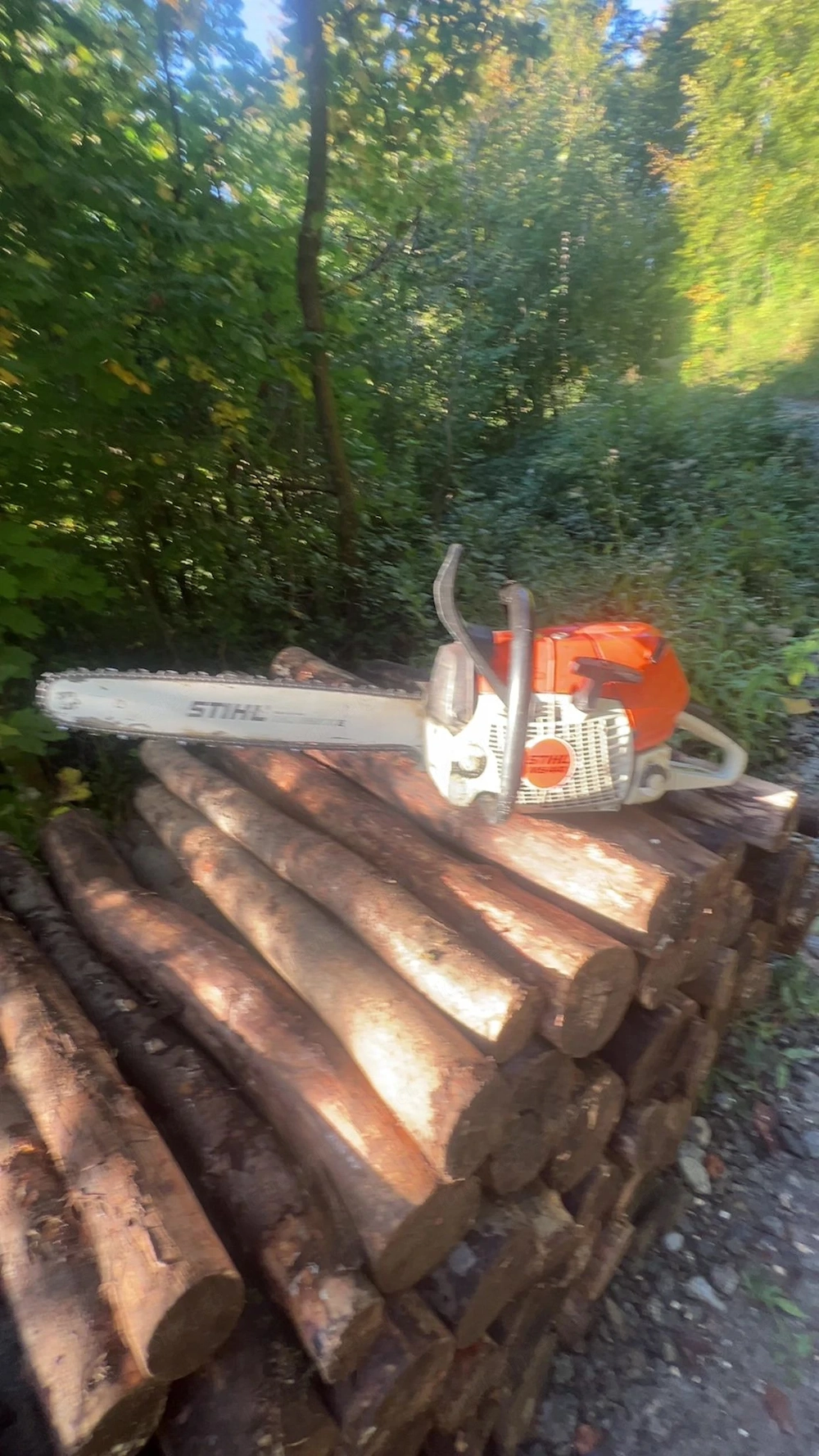 Motorsäge Stihl MS441 gebraucht 5,7PS