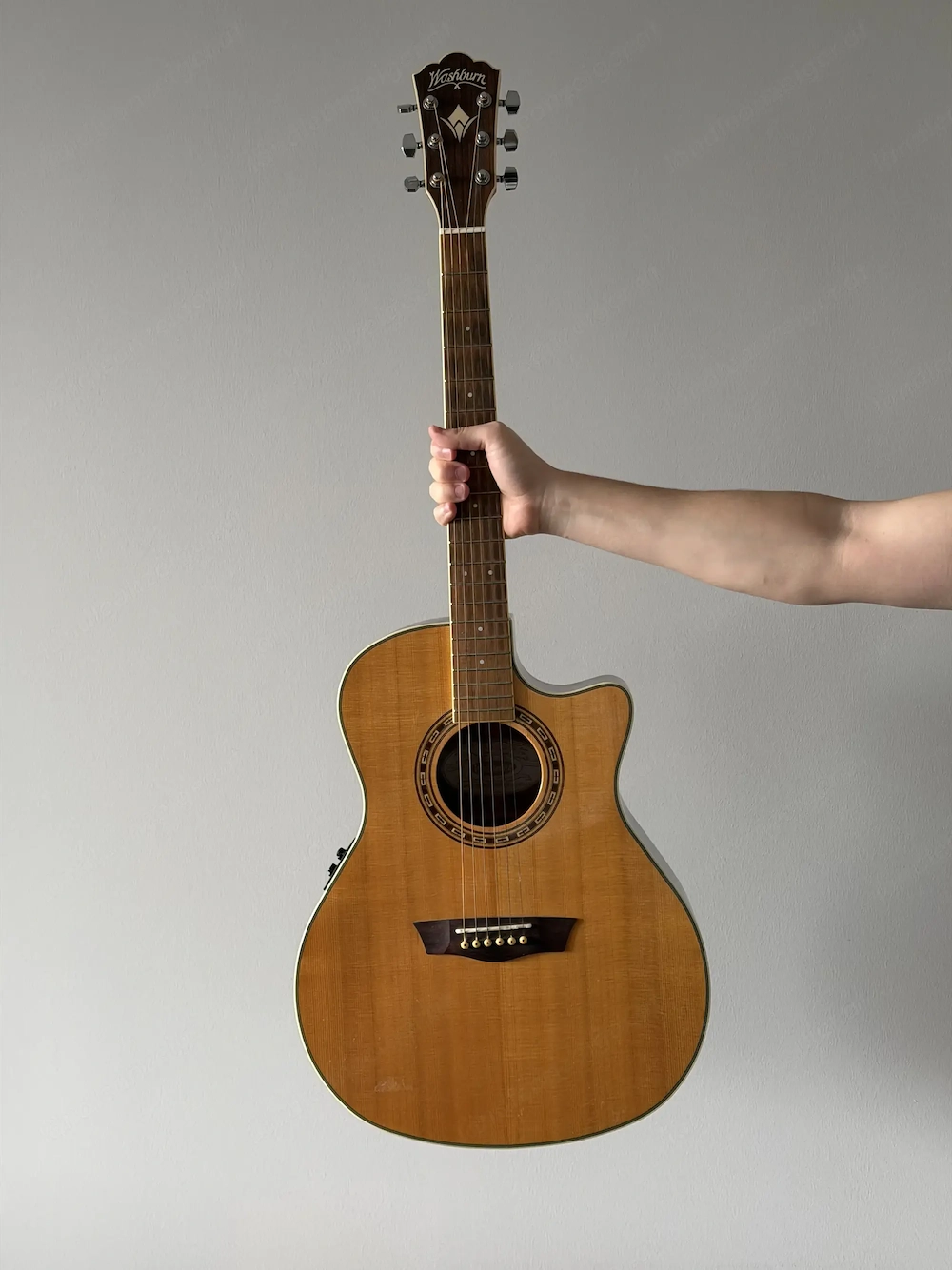 Washburn Western Gitarre inkl. Tonabnehmer 301t von Fishman