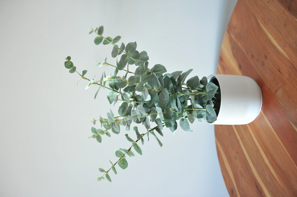 Pflanze Deko mit Wase (Ikea)