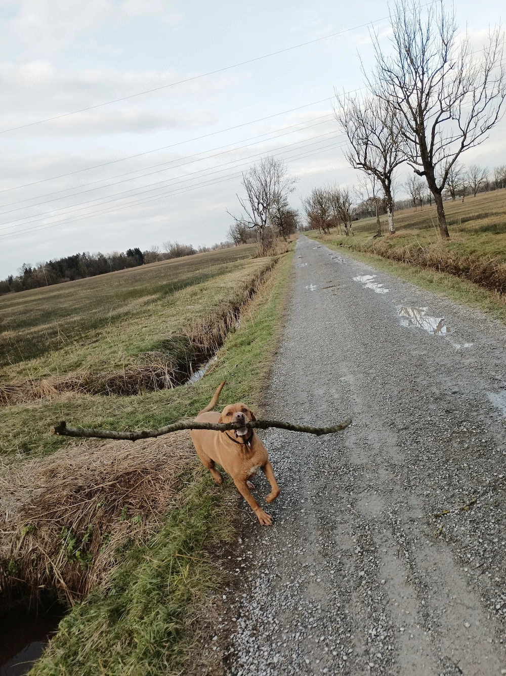 Wir suchen ein neues Zuhause 