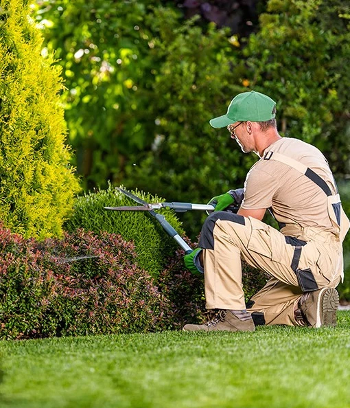 Gartenarbeit Gärtner ,Hecke,Rasen, Bäume 