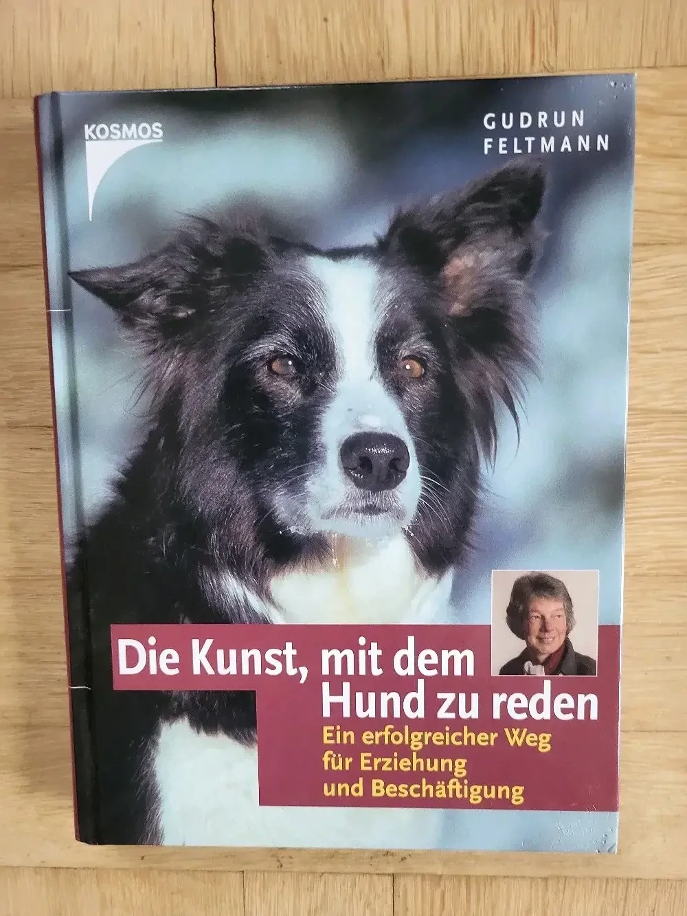 Erziehung für Hunde