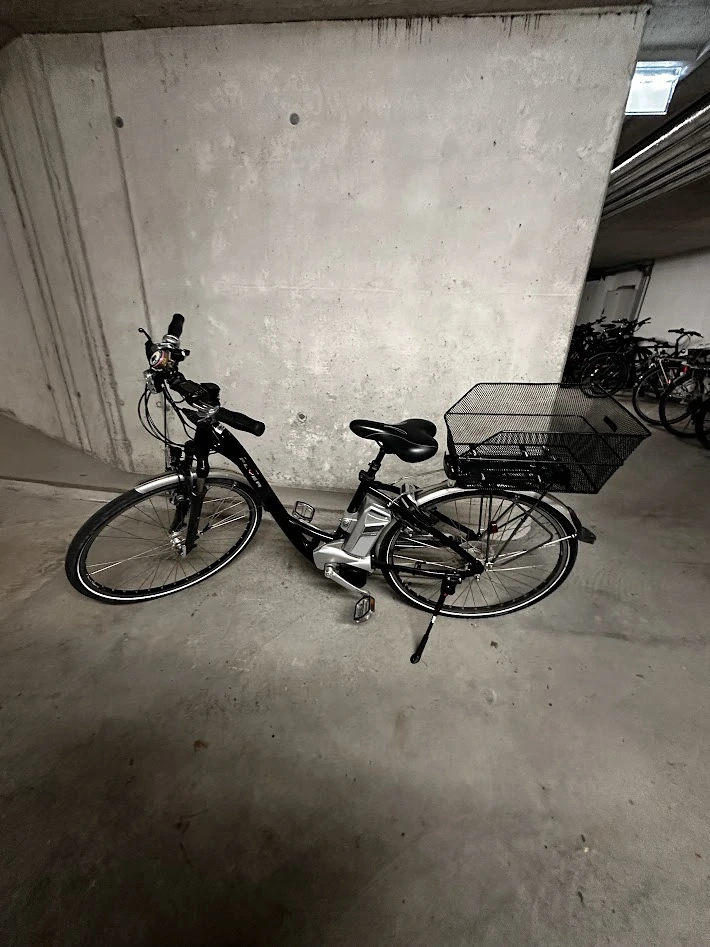 e-bike Flyer Damenrad