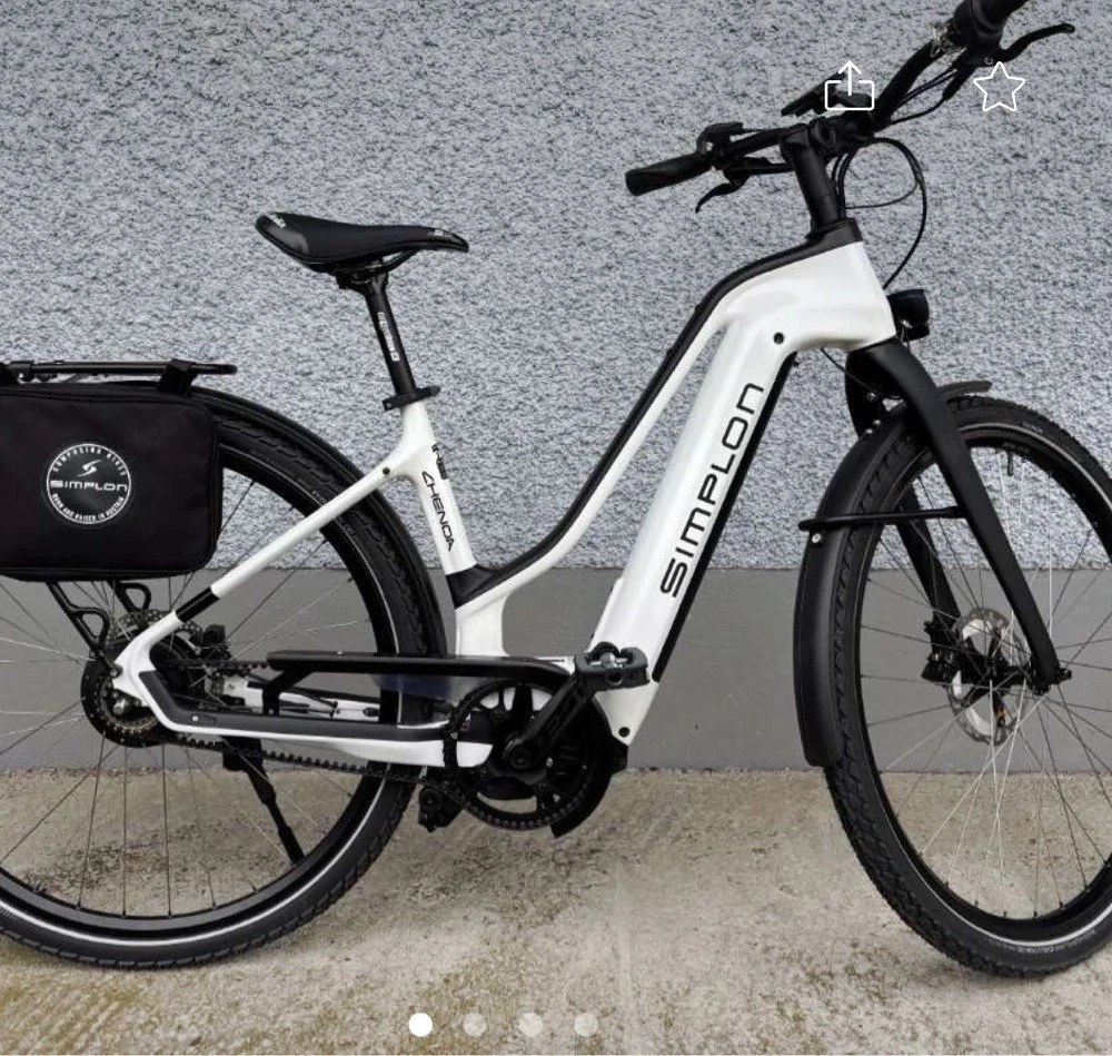 Simplon Chenoa E-Bike | Carbon | Bosch Active Line Plus | Top Zustand