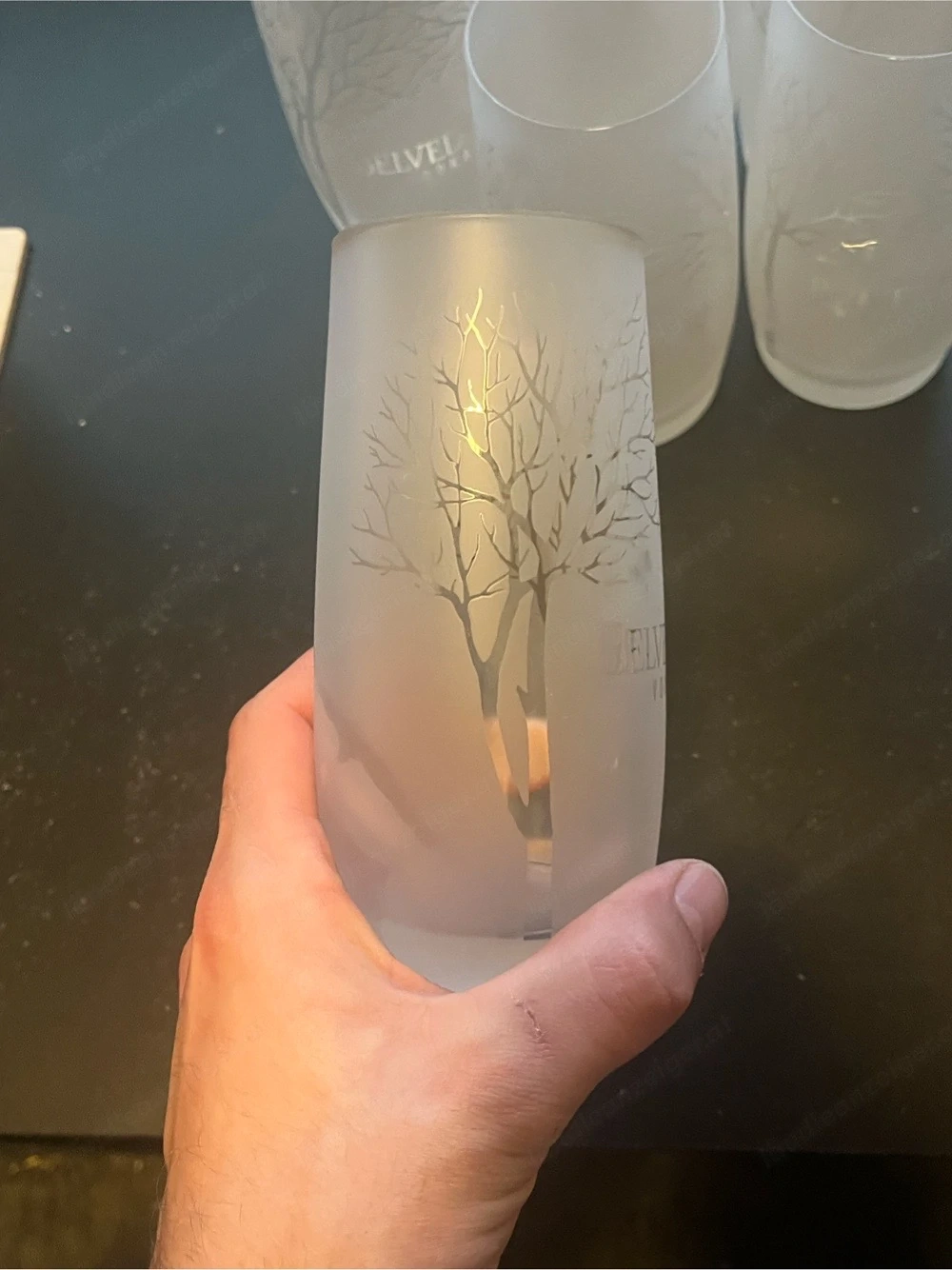 6x Original BELVEDERE VODKA Gläser   Frosted Tree Design (Rastal)