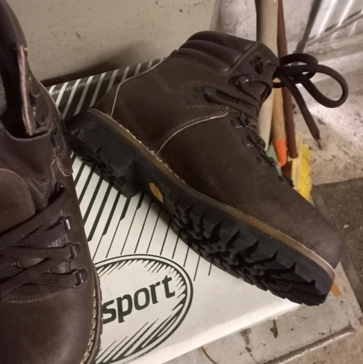 Wander oder Arbeitschuhe Gr. 42