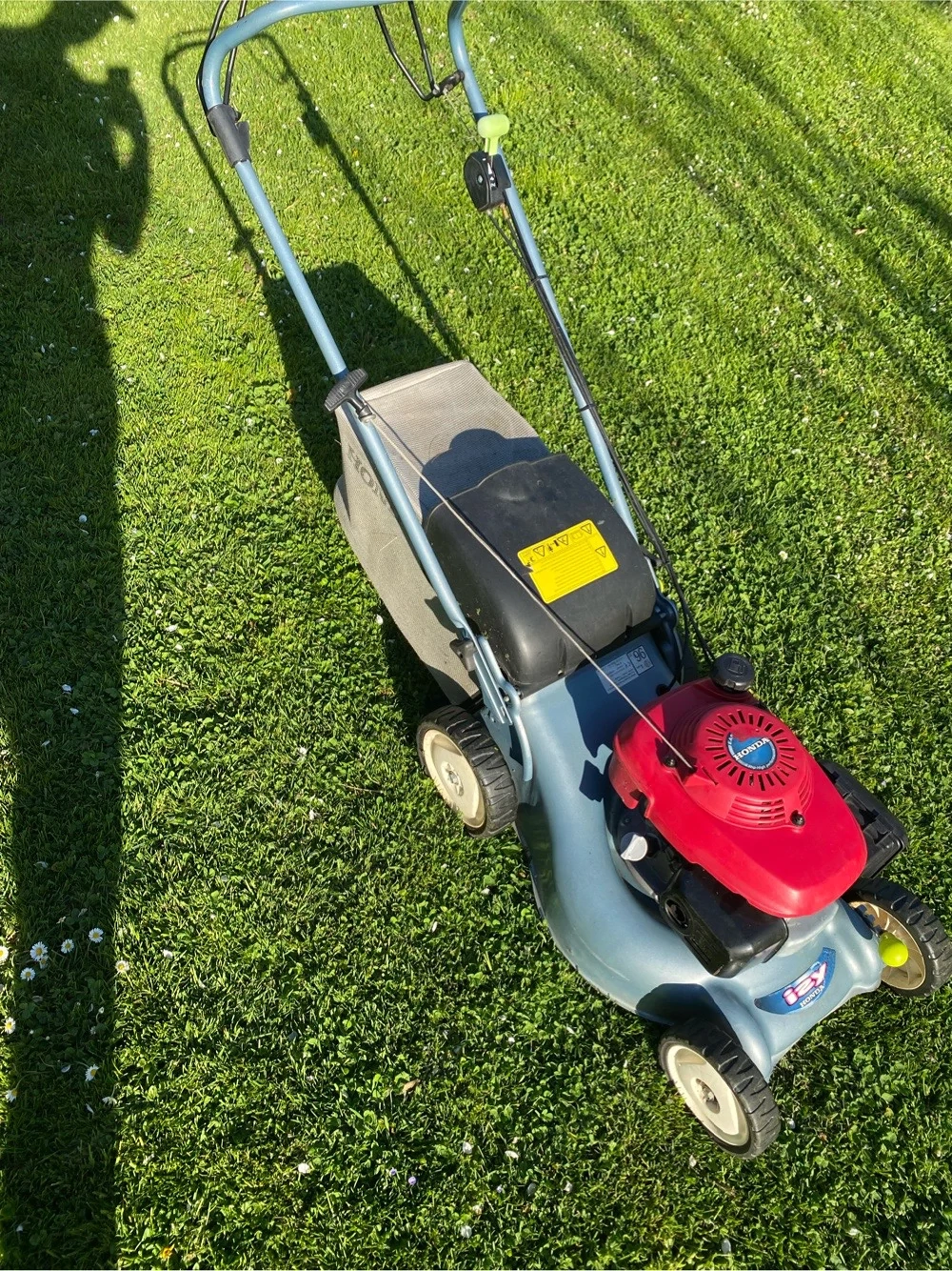 Honda IZY Rasenmäher