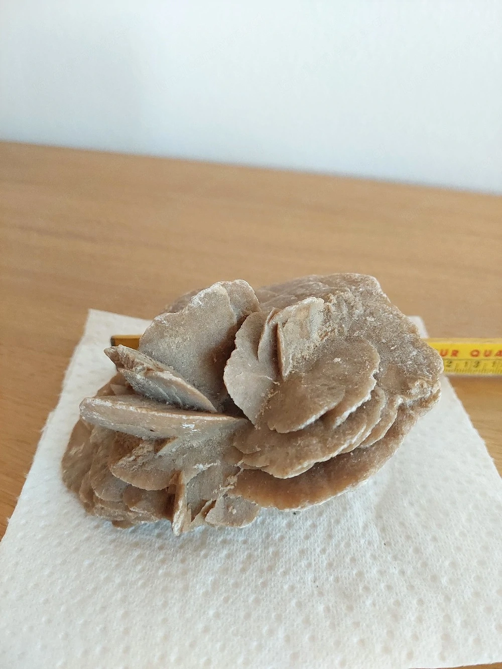 Wüstenrose Sandrose 