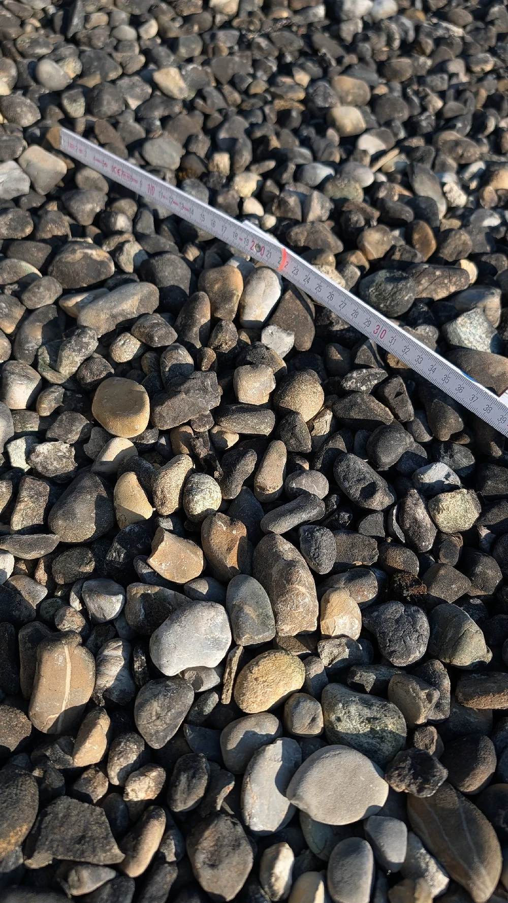 Rundkorn 16 32 ca. 7-8t gratis - Lieferung möglich - auch Teilmenge