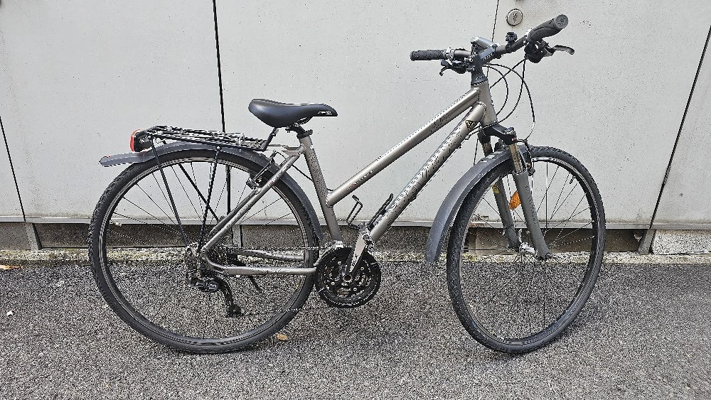 damen Fahrrad