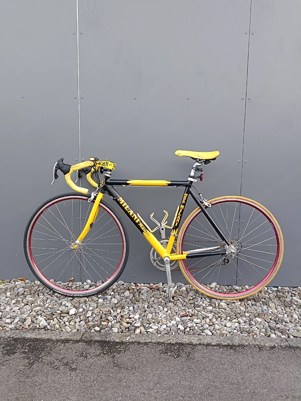 Mauro Milani Rennrad