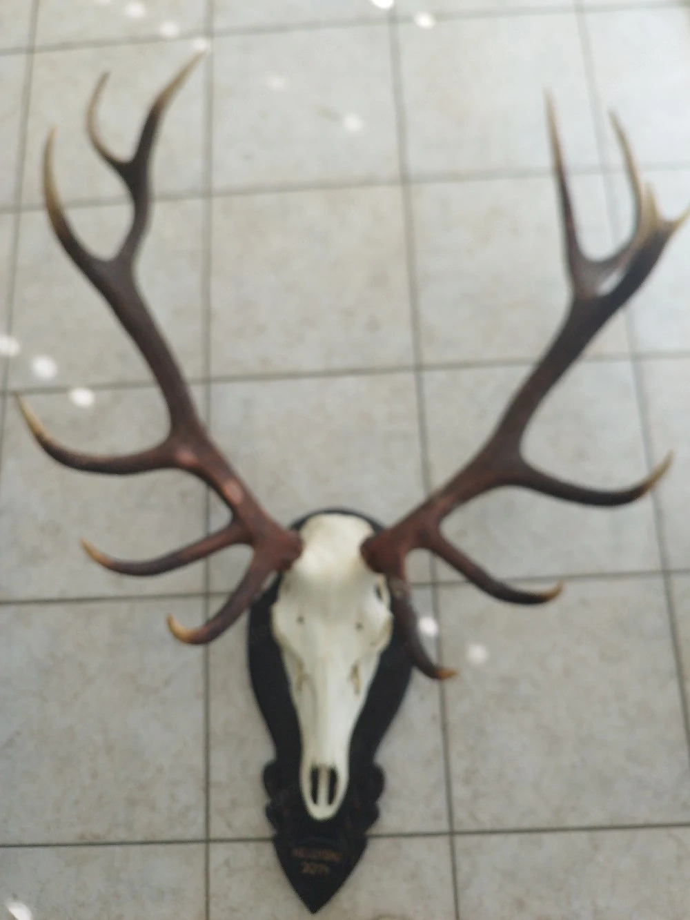 Trophäen zu verkaufen