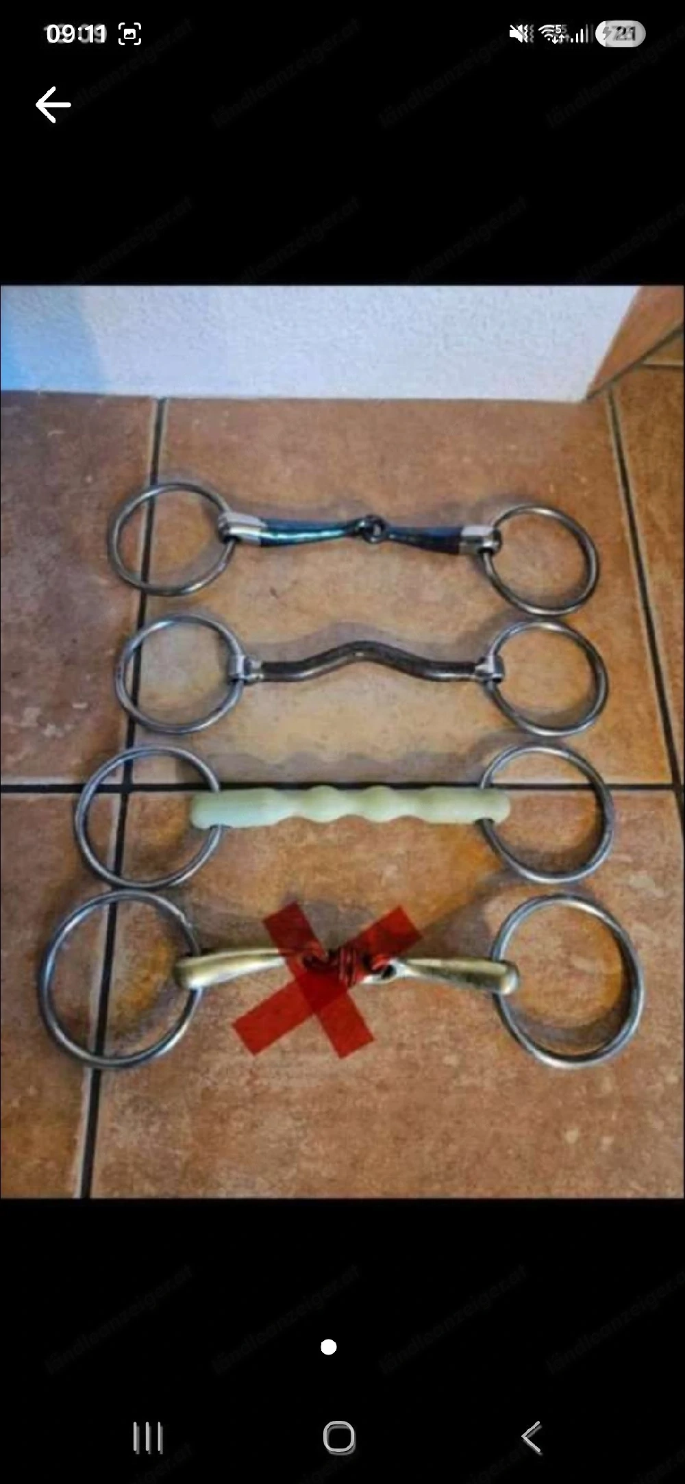 Verschiedene Gebisse 13,5