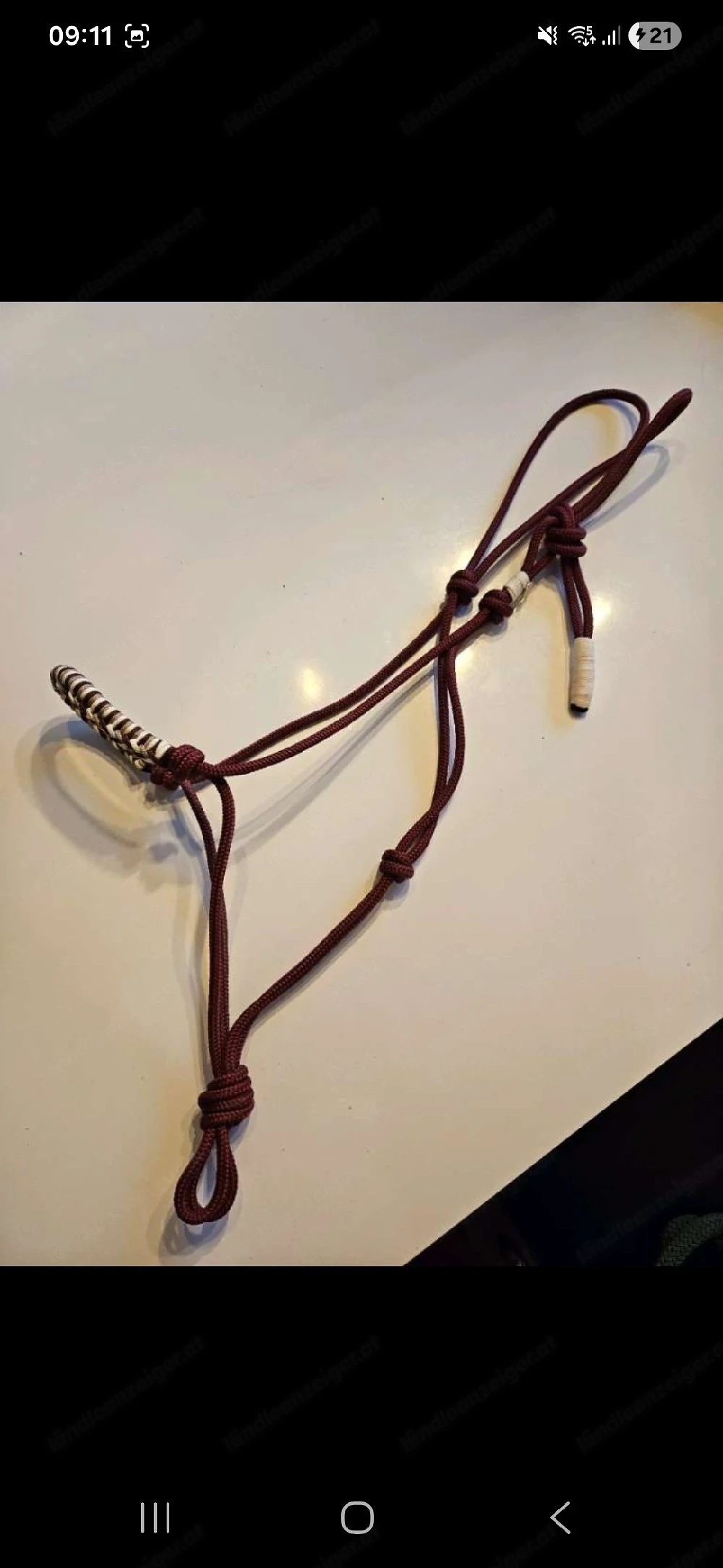 Equidreams Knotenhalfter COB  