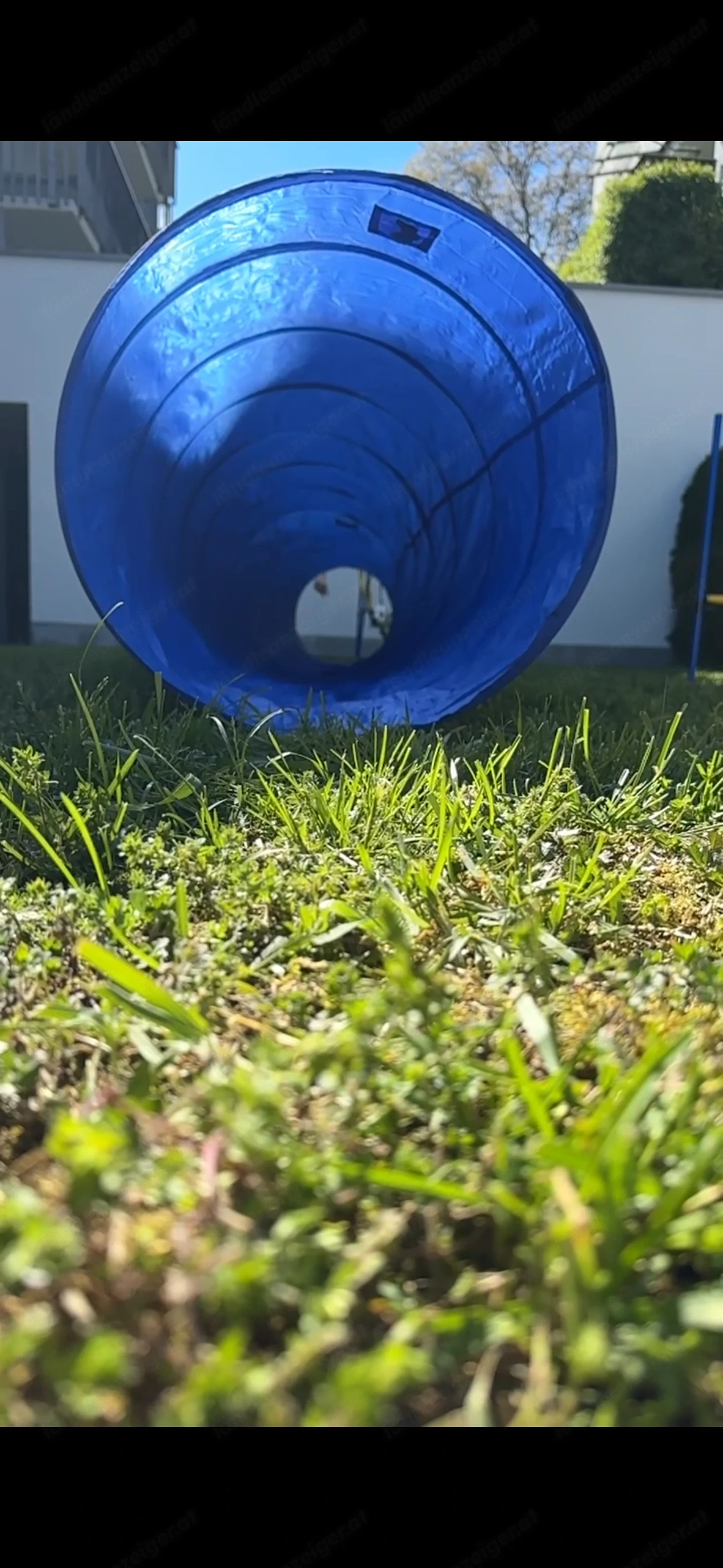 Agility Tunnel 