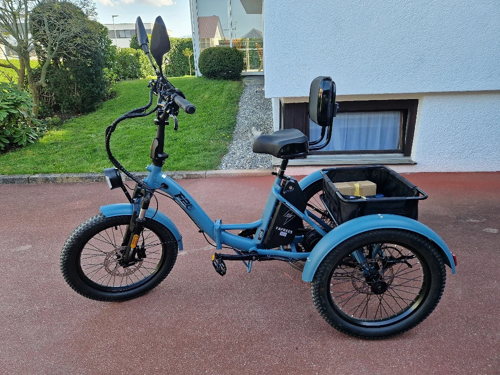 Fafrees F20 Mate E-Bike Dreirad Straßenzulässig