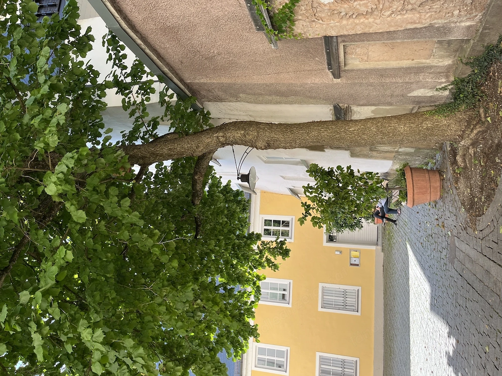 zuverlässige Dame , 40+ , sucht in Bregenz , eine 2-3 Zimmer Whg , zum arbeiten und wohnen . 