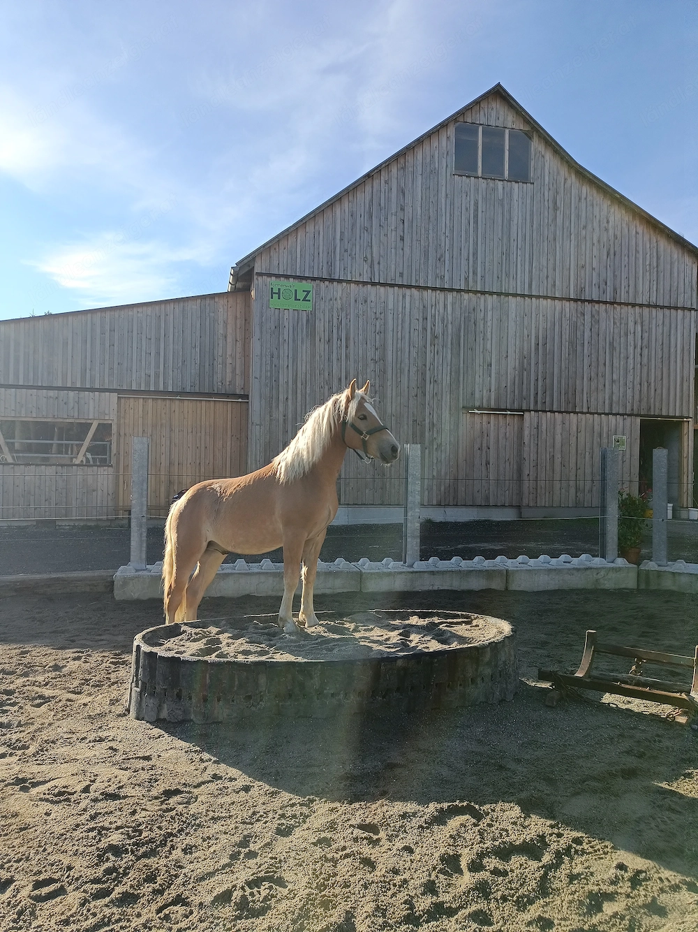 Biete Pflegebeteiligung 