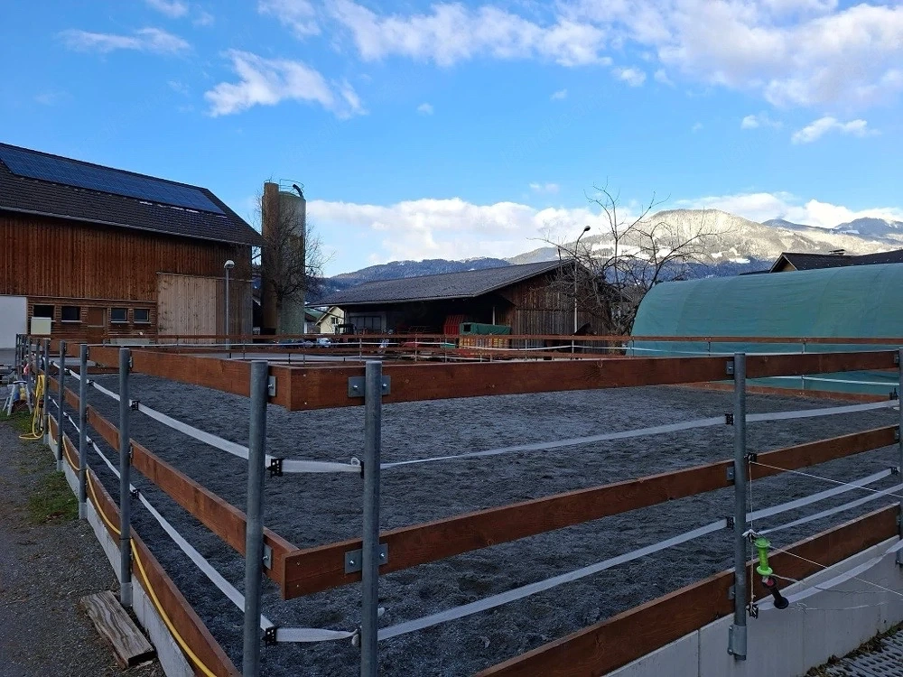 Einstellplatz frei   Wallach gesucht   