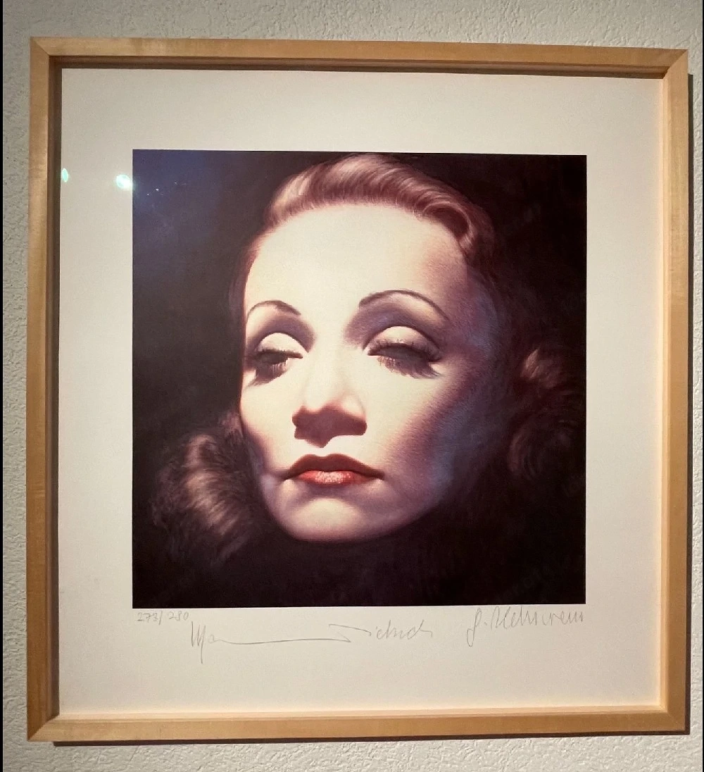 Gerahmte Farboffsetlithographie in ausgezeichnetem Zustand