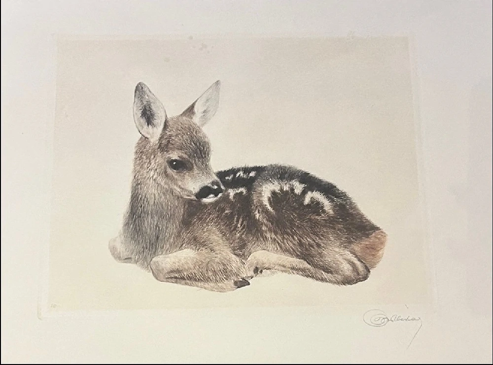 Kurt Meyer-Eberhardt (1895-1977) - 5 Radierungen: Junges Fohlen, Rehkitz, Hunde