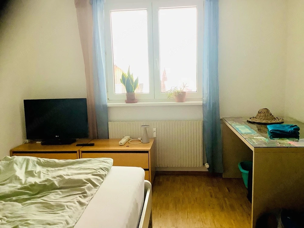 WG Dornbirn suche Mitbewohner