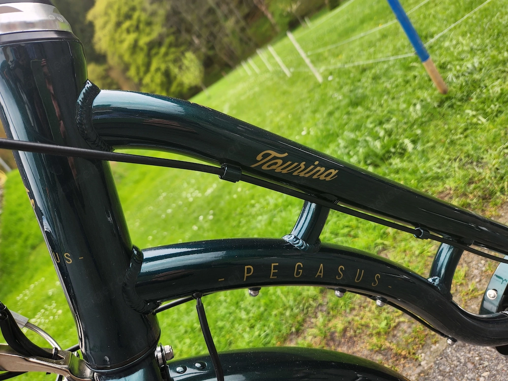 Damen Citybike