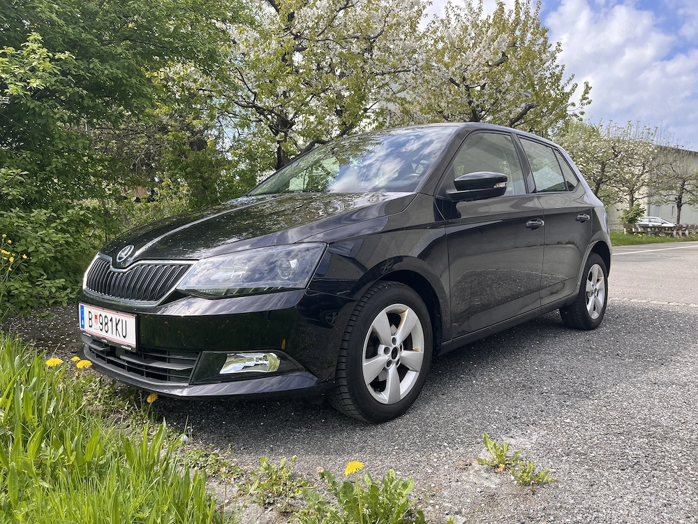 Skoda Fabia 1.0 TSI