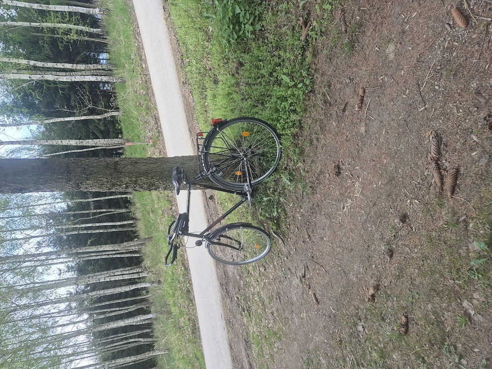 Suche Sie für Sexbeziehung 