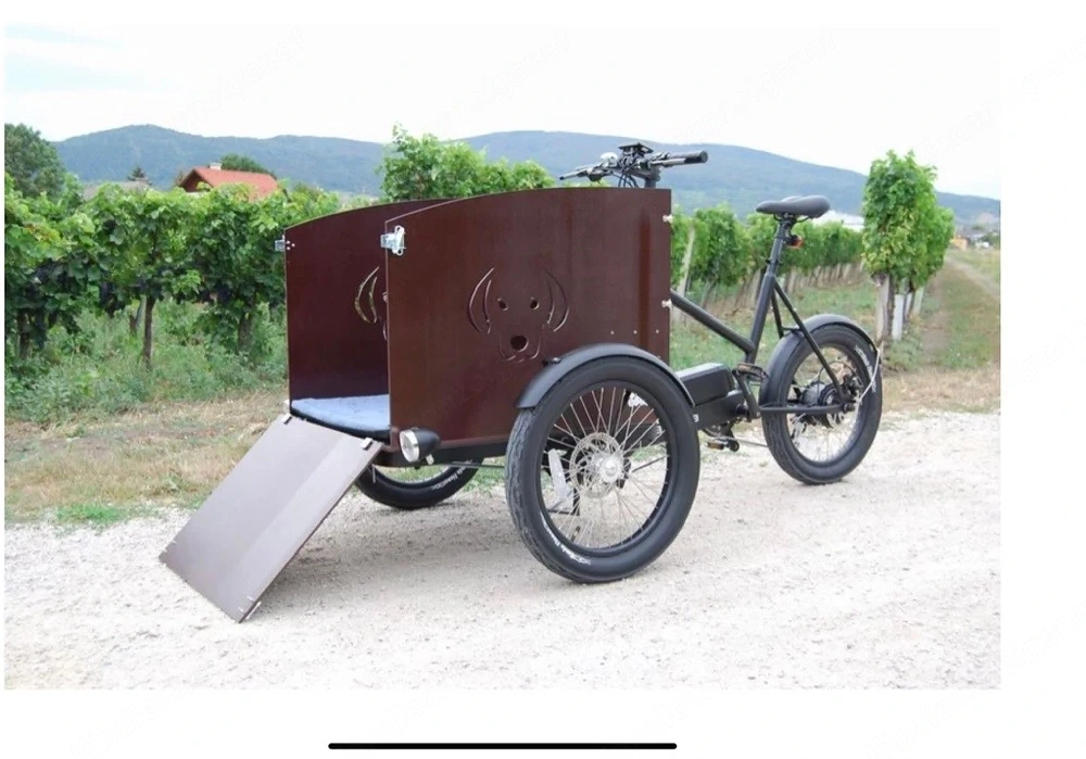 E-Lastenrad Bubble Bob Dog Version