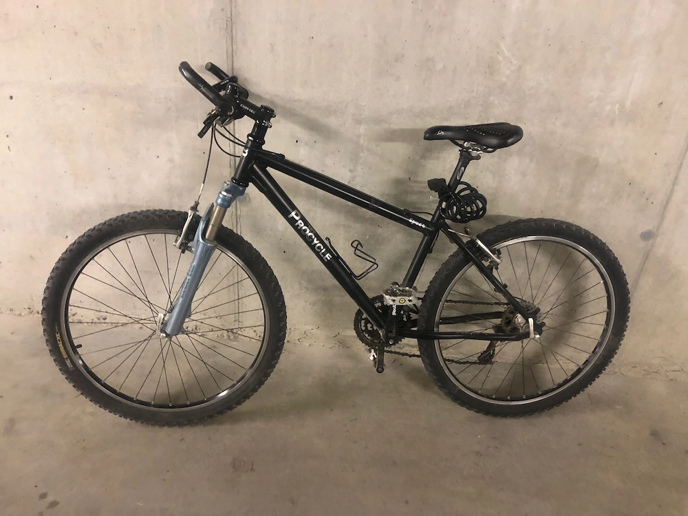 Damen Jugend-Mountainbike PRoCycle Sport gebraucht, mit Federgabel, 21 Gänge