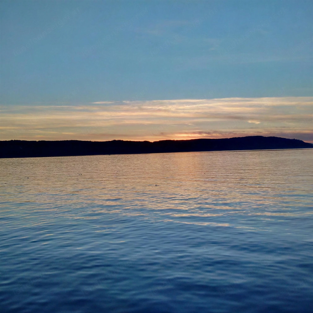 Akademiker-Familie sucht langfristiges Zuhause mit Altbau-Charme in Bregenz