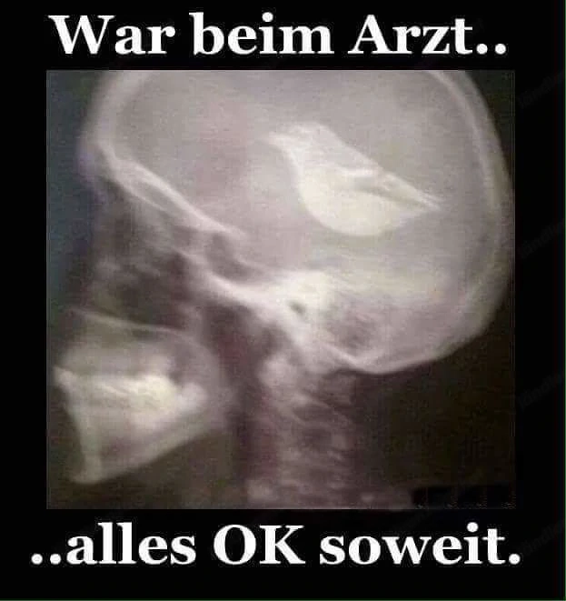 Suche Lebensabschnittspartberin