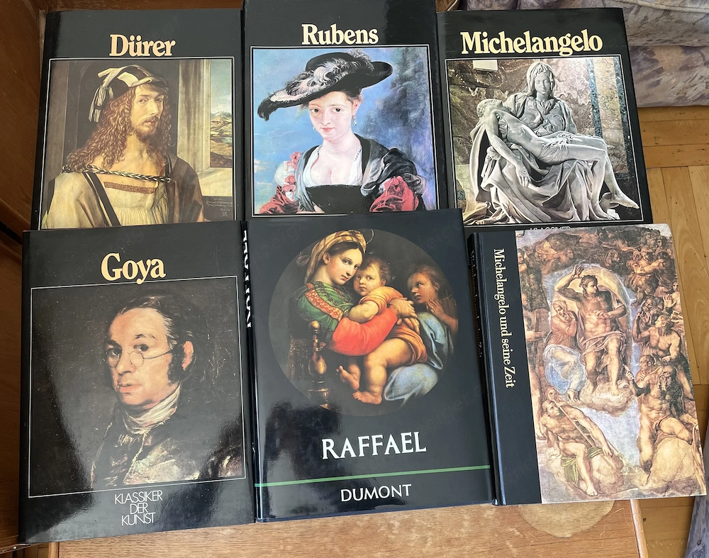 Bücher Meister der Kunstgeschichte : Rubens, Goya, Dürer, Michaelangelo  