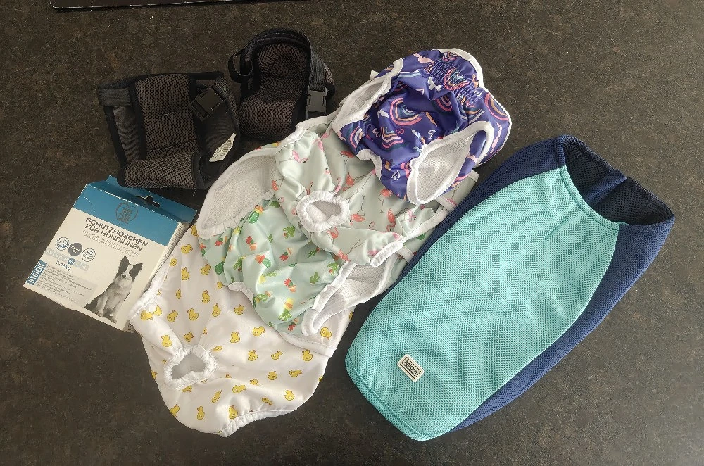 Läufigkeitshöschen für kleine Hunde