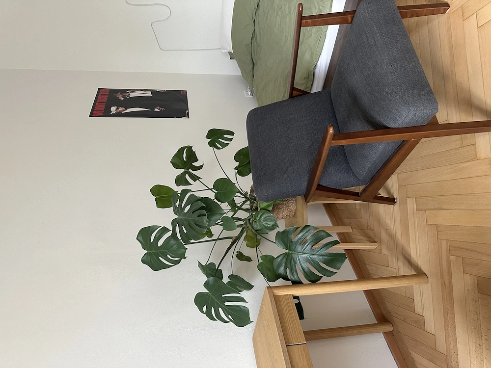 Mitbewohner gesucht in Wien!