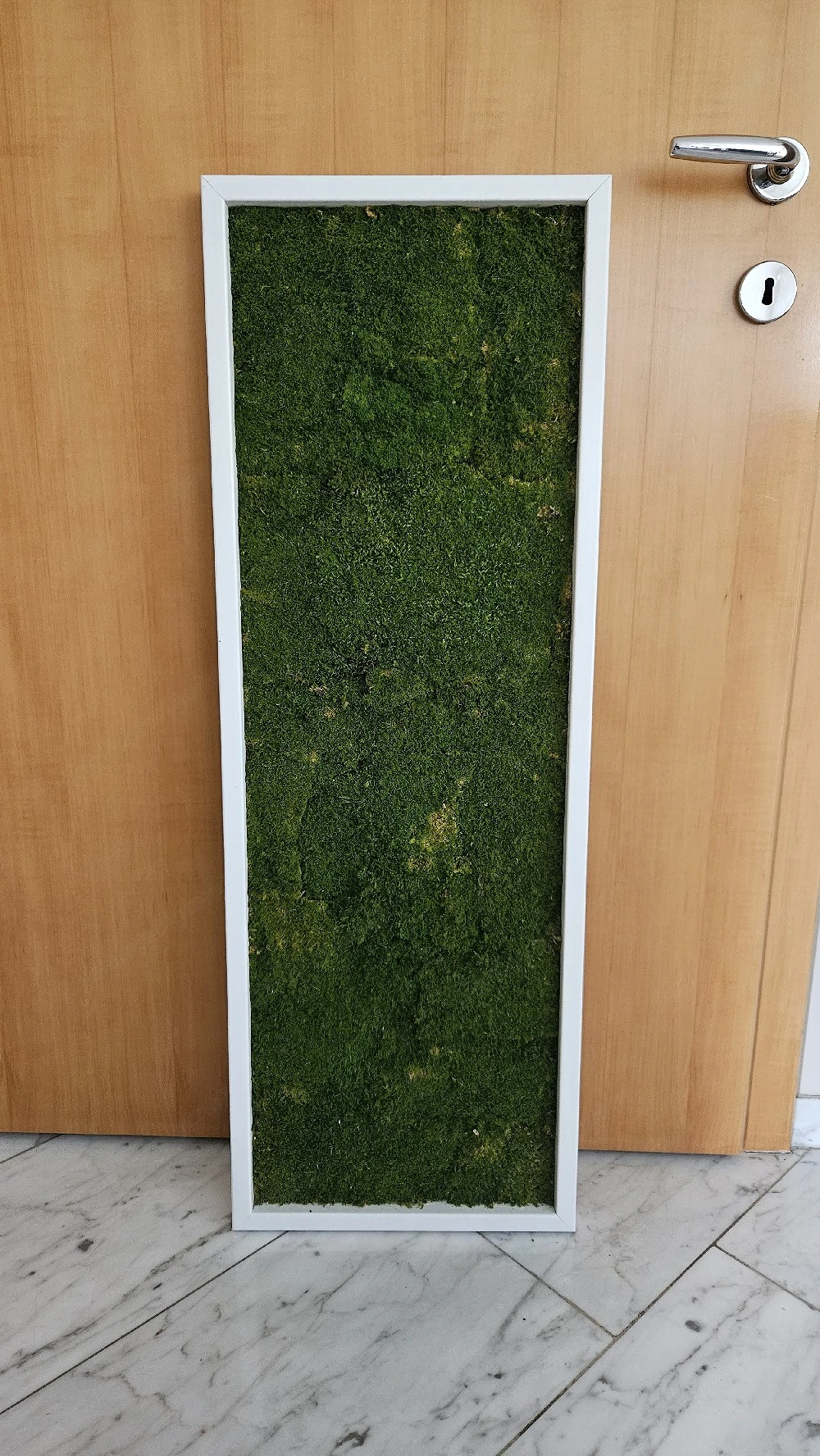 Moosbild 100 x 35 cm mit weißem Rahmen 