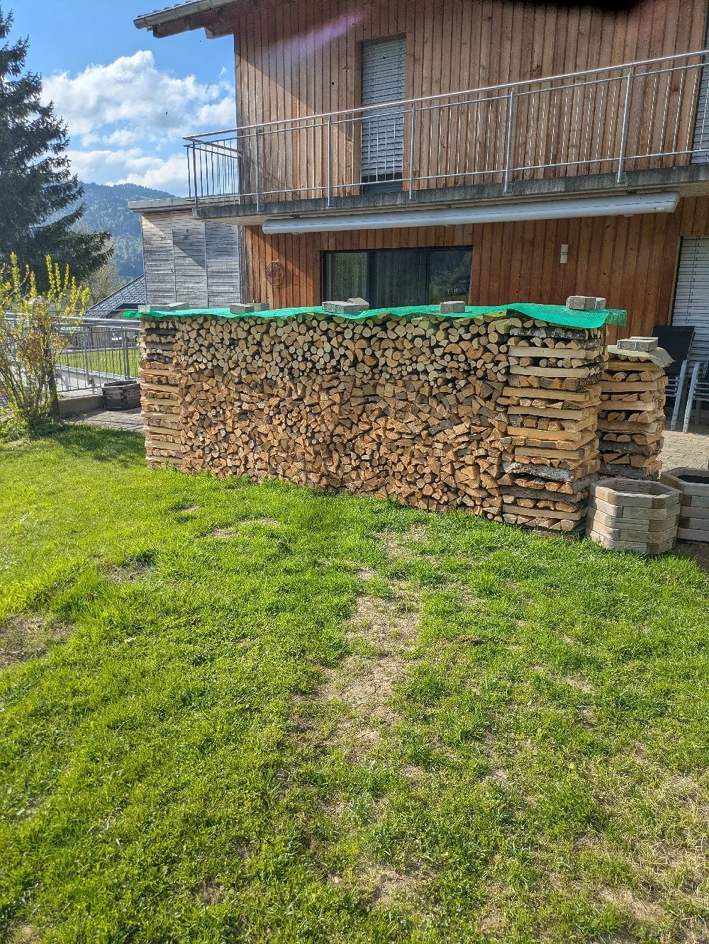 frisches holz